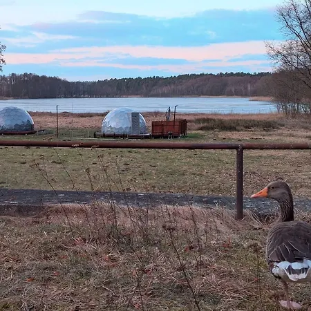 Eco Iglu The Secret Of Comfort 5 Stars Milmersdorf