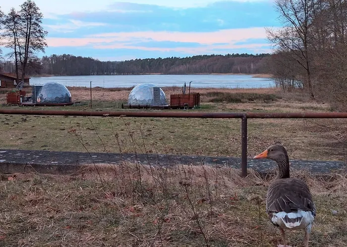 Eco Iglu The Secret Of Comfort 5 Stars Milmersdorf